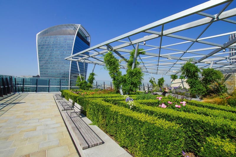 Rooftop Garden